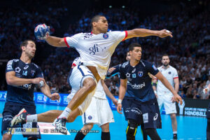 NARCISSE Daniel-PSG Handball-Paris-210516-2503