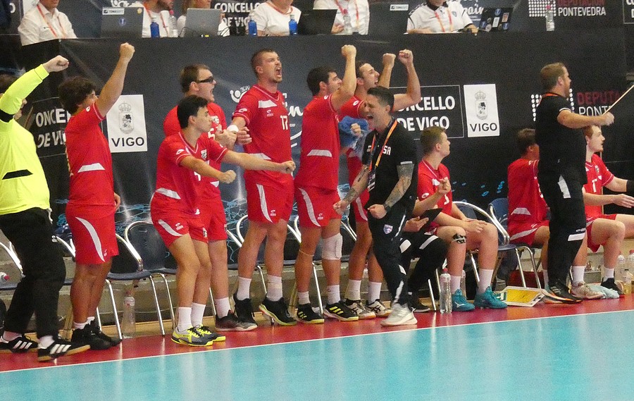 Coupe de la Ligue française masculine de handball — Wikipédia