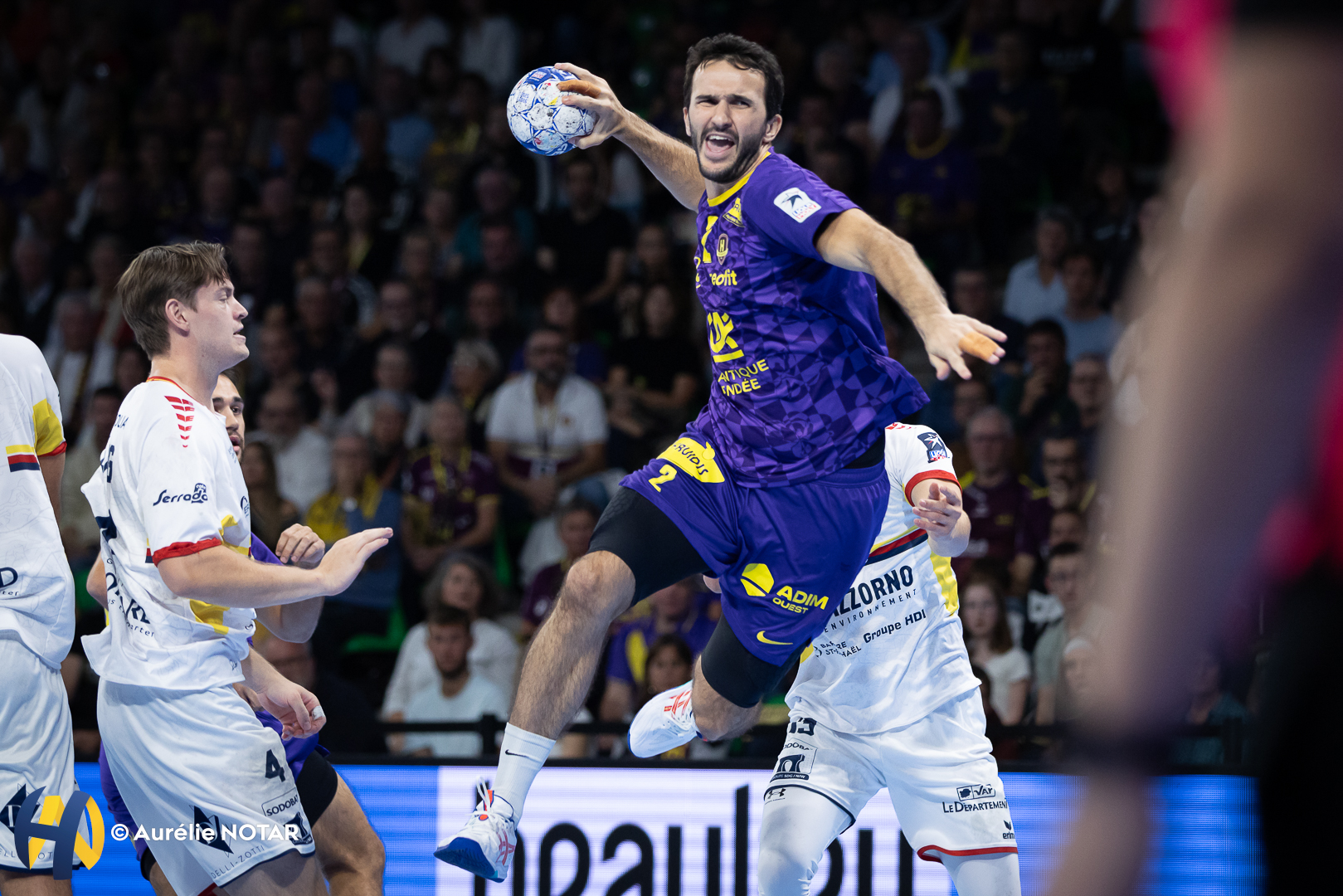 LMS (J11) | Le « H » solide face au PAUC, Chambéry renverse Cesson au bout du suspense