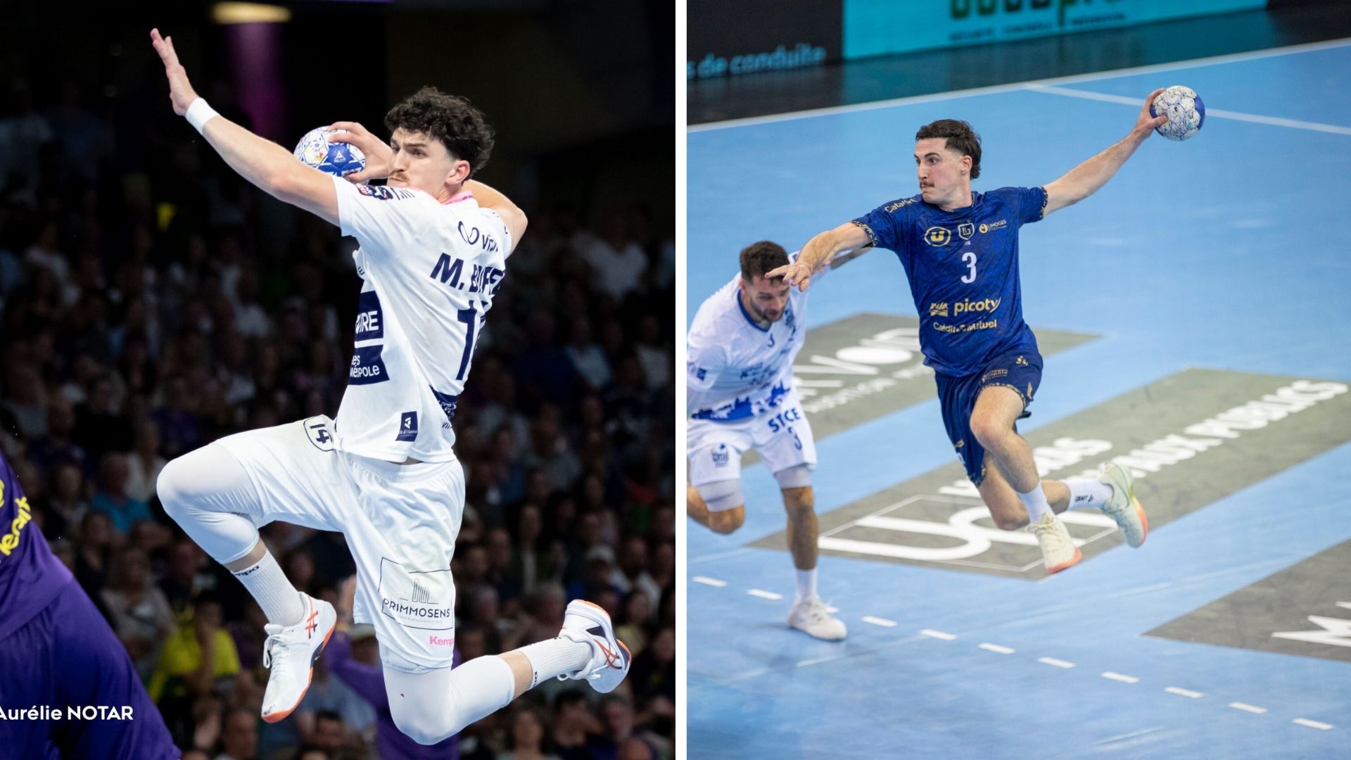 LMS | Le Fenix annonce trois recrues pour la saison prochaine