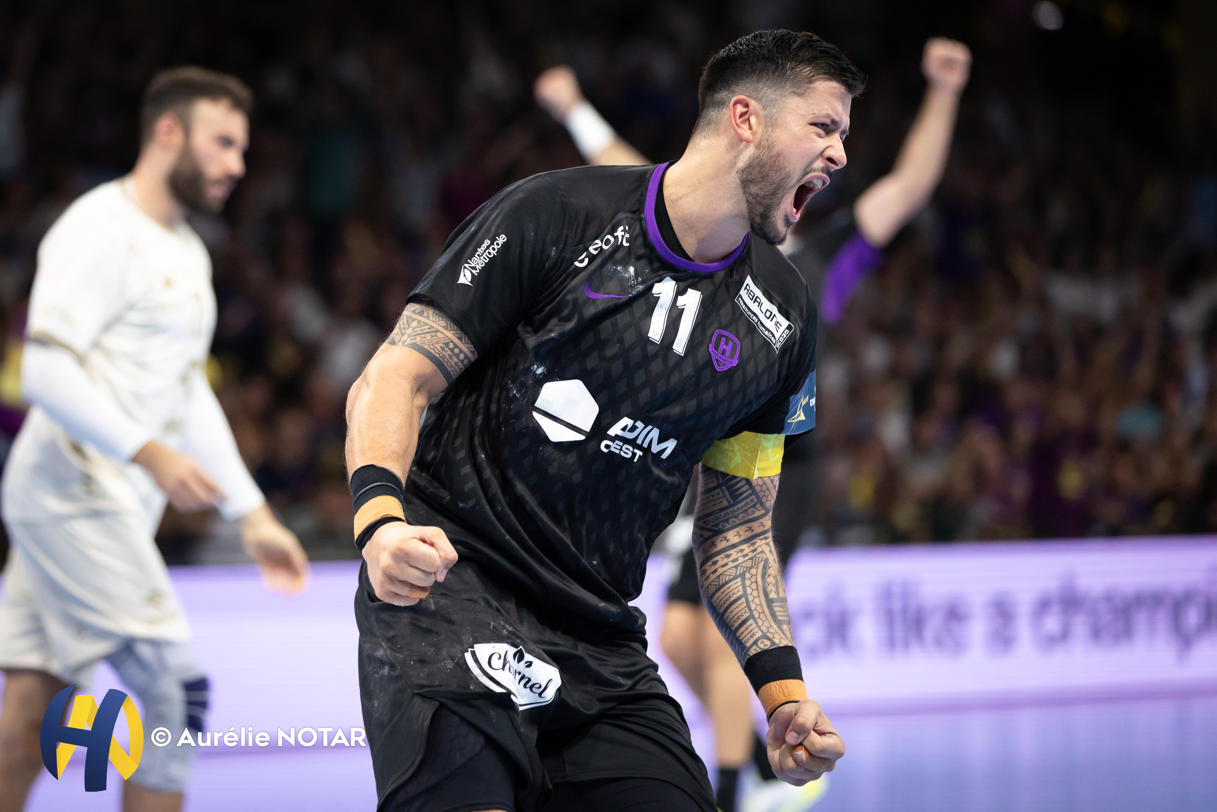 ALL | Nicolas Tournat dans le viseur de Melsungen pour remplacer Golla ?
